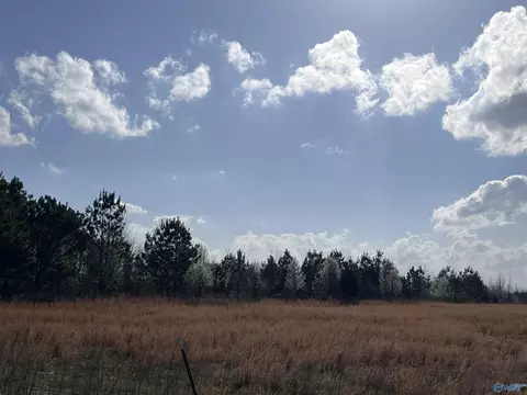 64 Acres County Road 463, Section, AL 35771