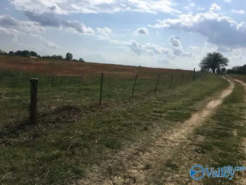 64 Acres County Road 463, Section, AL 35771 photo 2
