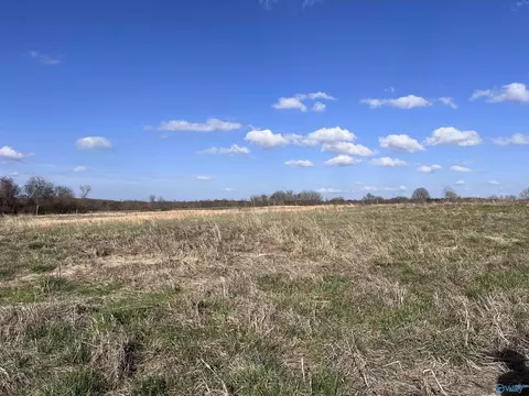 64 Acres County Road 463, Section, AL 35771 photo 3