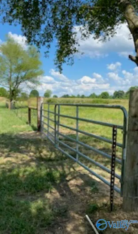 64 Acres County Road 463, Section, AL 35771 photo 6