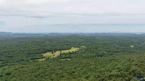 405 County Road 865, Gaylesville, AL 35973
