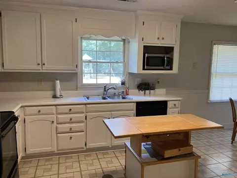 134 Raspberry Way, Madison, AL 35757 photo 2