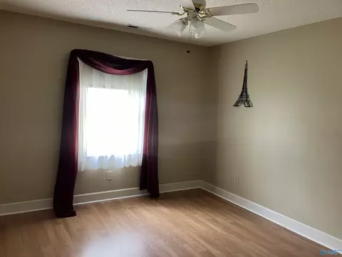 134 Raspberry Way, Madison, AL 35757 photo 13