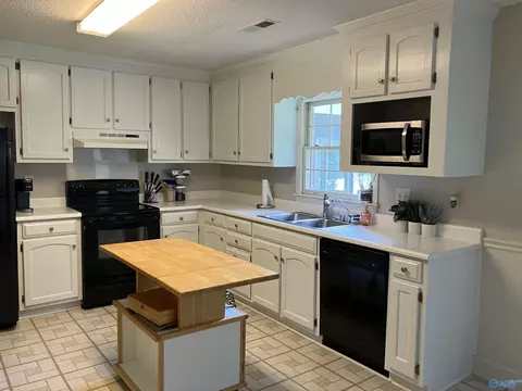 134 Raspberry Way, Madison, AL 35757 photo 3