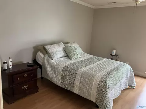 134 Raspberry Way, Madison, AL 35757 photo 11