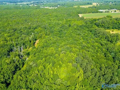 2700 Hall St, Hartselle, AL 35640