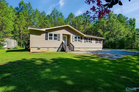 6686 County Road 221, Trinity, AL 35673 photo 20