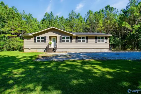 6686 County Road 221, Trinity, AL 35673 photo 1