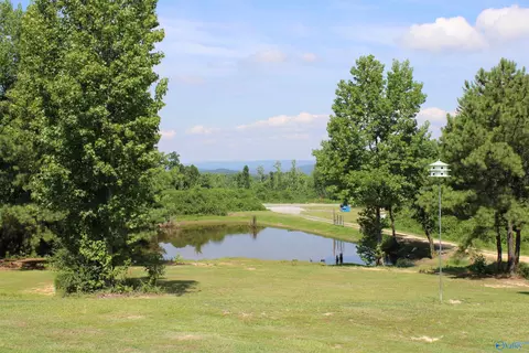 2811 Ebell Rd, Oneonta, AL 35121 photo 10