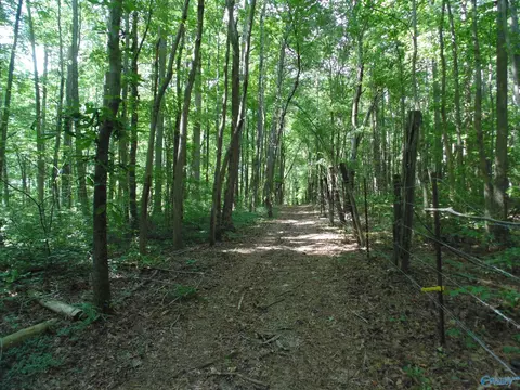 129 Bennett St, Eva, AL 35621 photo 20
