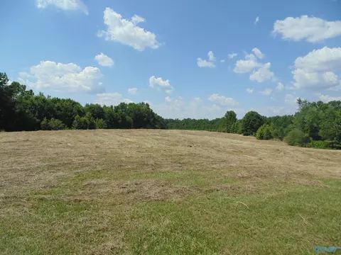 129 Bennett St, Eva, AL 35621 photo 2