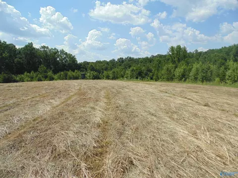 129 Bennett St, Eva, AL 35621 photo 5