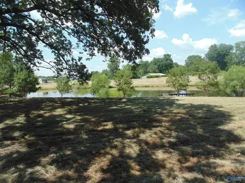 129 Bennett St, Eva, AL 35621 photo 11