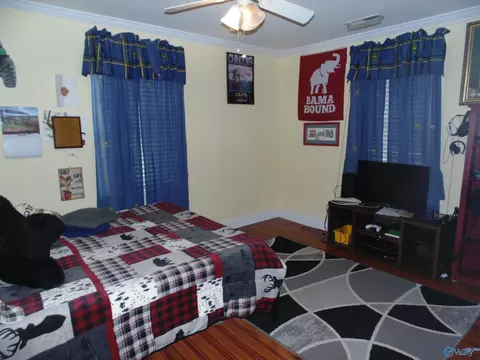 129 Bennett St, Eva, AL 35621 photo 40