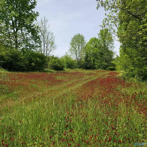 129 Bennett St, Eva, AL 35621 photo 7