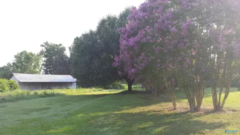 129 Bennett St, Eva, AL 35621 photo 3