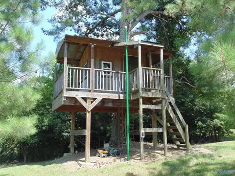 129 Bennett St, Eva, AL 35621 photo 16