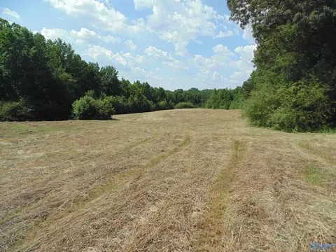 129 Bennett St, Eva, AL 35621 photo 8