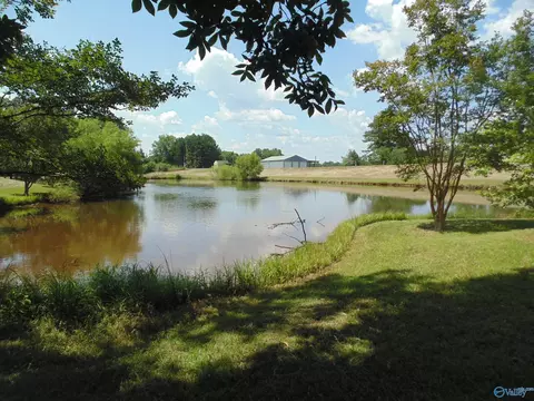 129 Bennett St, Eva, AL 35621 photo 17
