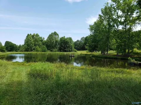 129 Bennett St, Eva, AL 35621 photo 12