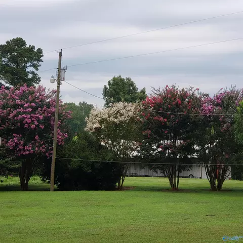 129 Bennett St, Eva, AL 35621 photo 22