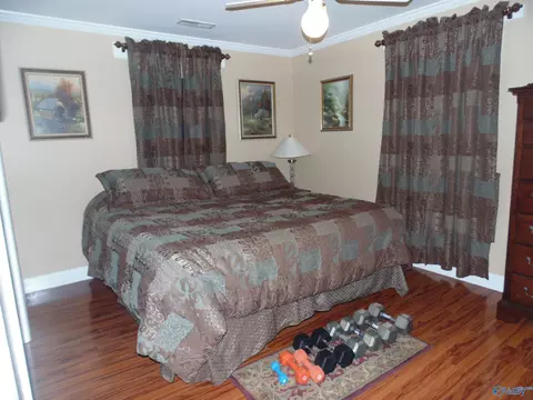 129 Bennett St, Eva, AL 35621 photo 39