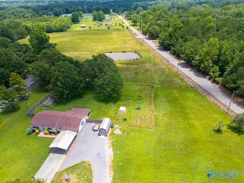 7312 County Road 221, Trinity, AL 35673 photo 36