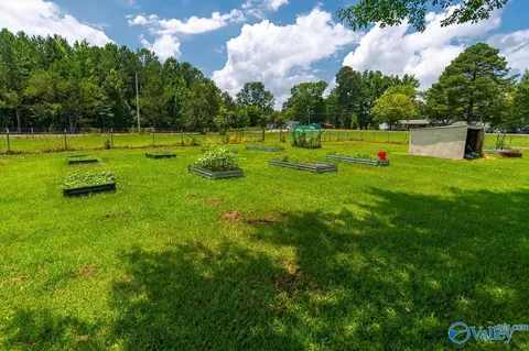 7312 County Road 221, Trinity, AL 35673 photo 24