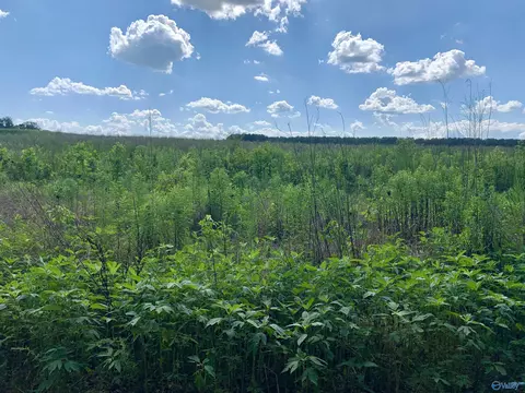 6 County Road 508, Fort Payne, AL 35968