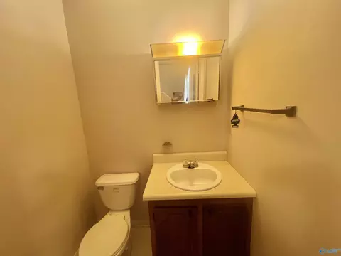 341 County Road 372, Trinity, AL 35673 photo 11
