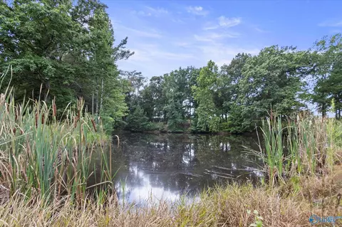 653 Embassy Dr, Arab, AL 35016 photo 4
