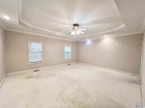 137 County Road 499, Trinity, AL 35673 photo 8