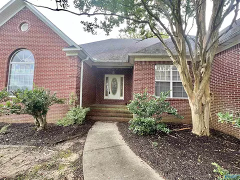 137 County Road 499, Trinity, AL 35673 photo 20