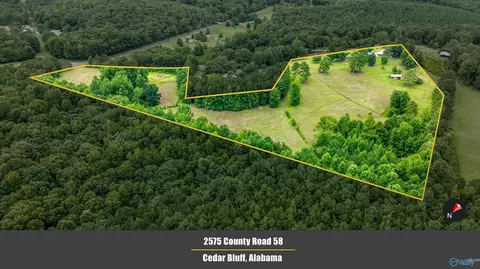 2575 County Road 58, Cedar Bluff, AL 35959 photo 5