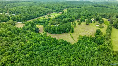 2575 County Road 58, Cedar Bluff, AL 35959 photo 46