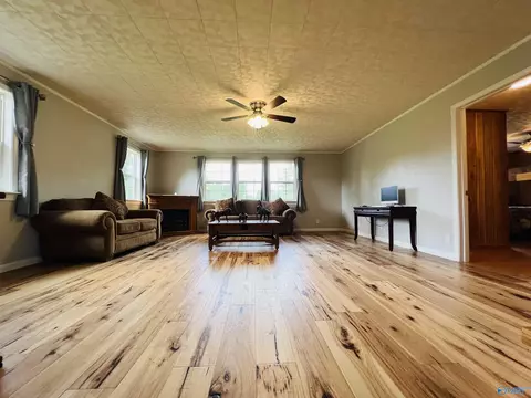 2575 County Road 58, Cedar Bluff, AL 35959 photo 14