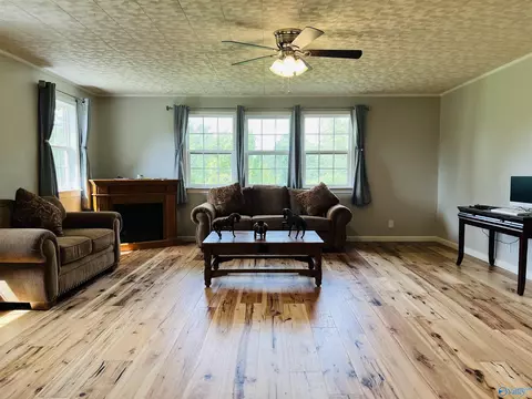 2575 County Road 58, Cedar Bluff, AL 35959 photo 13