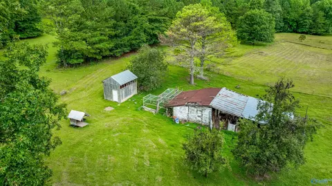 2575 County Road 58, Cedar Bluff, AL 35959 photo 3