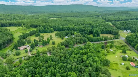 2575 County Road 58, Cedar Bluff, AL 35959 photo 42
