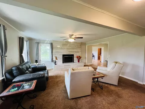 2575 County Road 58, Cedar Bluff, AL 35959 photo 9