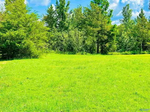 92 Spring Valley Dr, Danville, AL 35619