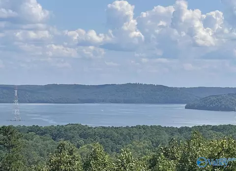 48 Ac Mccorkle Mountain Rd, Scottsboro, AL 35769