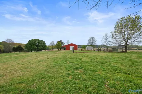222 County Road 415, Killen, AL 35645 photo 46