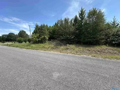 81 County Road 352, Trinity, AL 35673 photo 1
