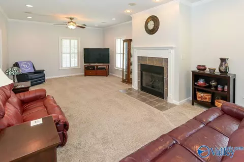 4482 County Road 327, Trinity, AL 35673 photo 16