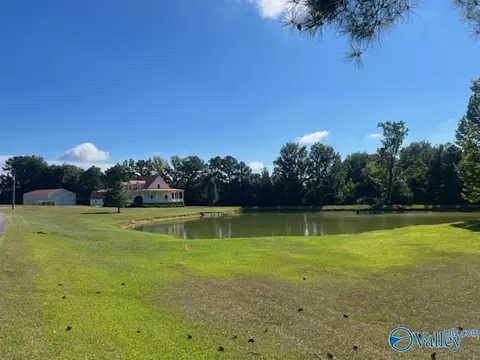 4482 County Road 327, Trinity, AL 35673 photo 7
