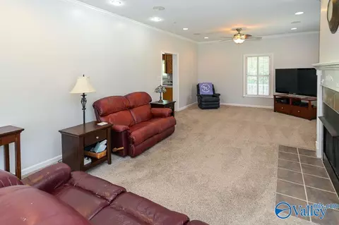 4482 County Road 327, Trinity, AL 35673 photo 17