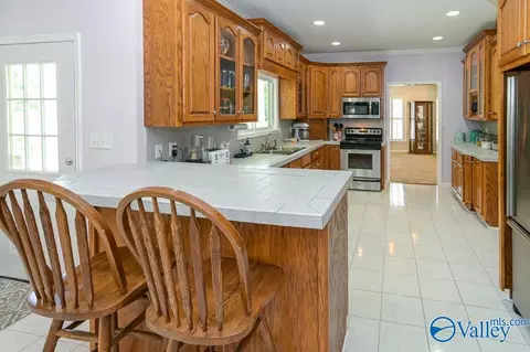 4482 County Road 327, Trinity, AL 35673 photo 12