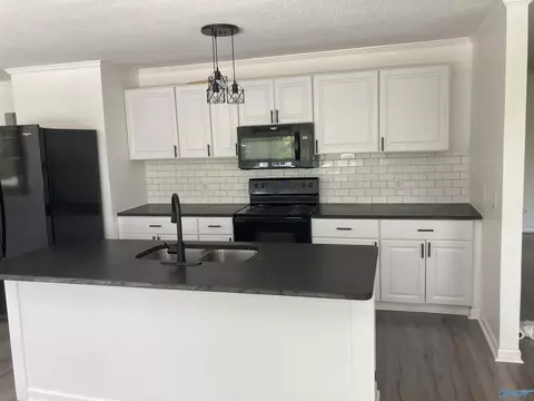 625 S Mountain Dr, Trinity, AL 35673 photo 17