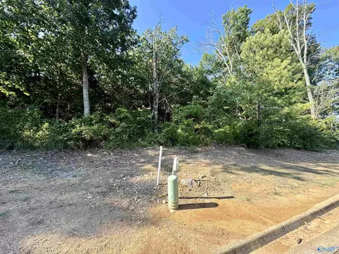 11 Selma St, Decatur, AL 35603